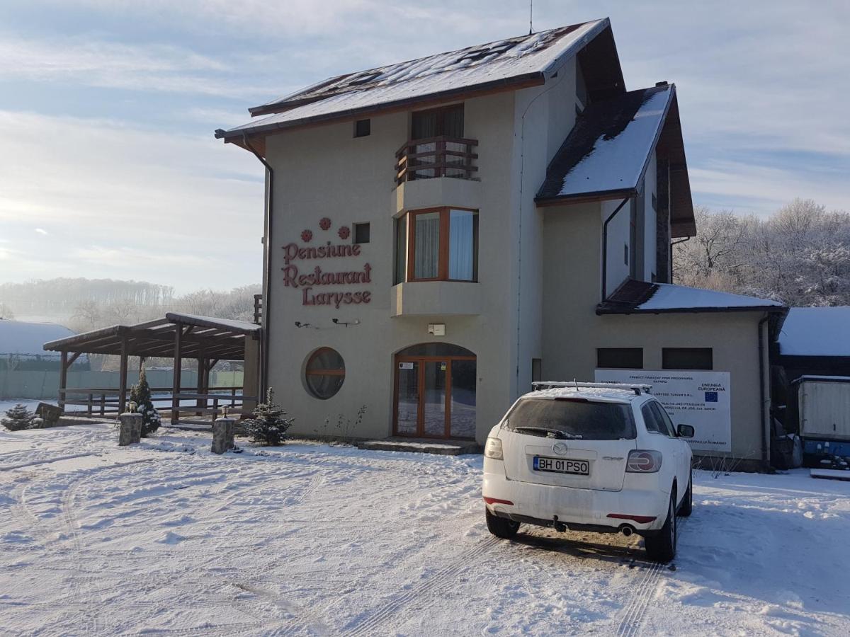 Pensiunea Larysse Băile Felix Eksteriør bilde