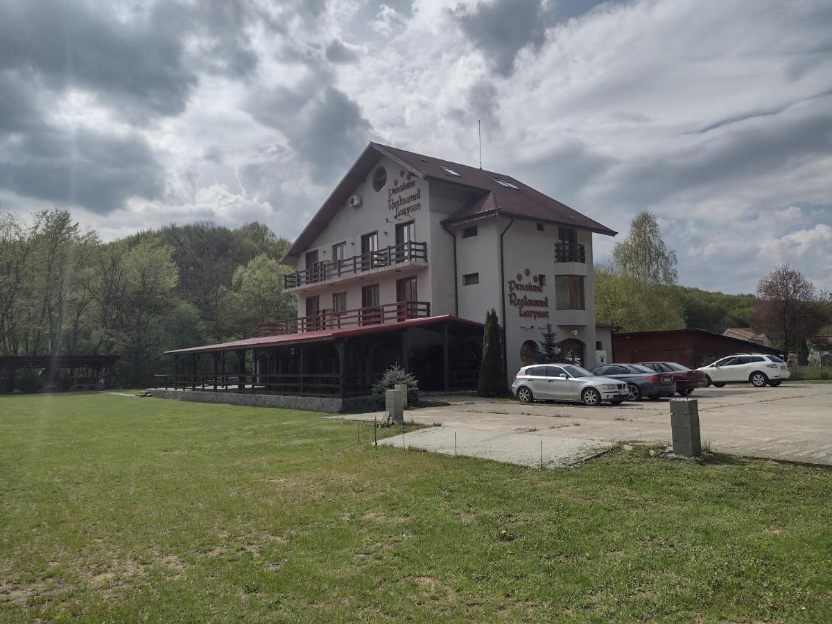 Pensiunea Larysse Băile Felix Eksteriør bilde